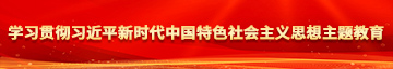 吊逼学习贯彻习近平新时代中国特色社会主义思想主题教育