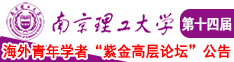 老女人的屄南京理工大学第十四届海外青年学者紫金论坛诚邀海内外英才！